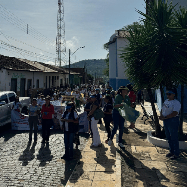 Prefeitura de Paraibano, através da Secretaria de Saúde, realizam caminhada em alusão ao Dia D da Campanha da Dengue.