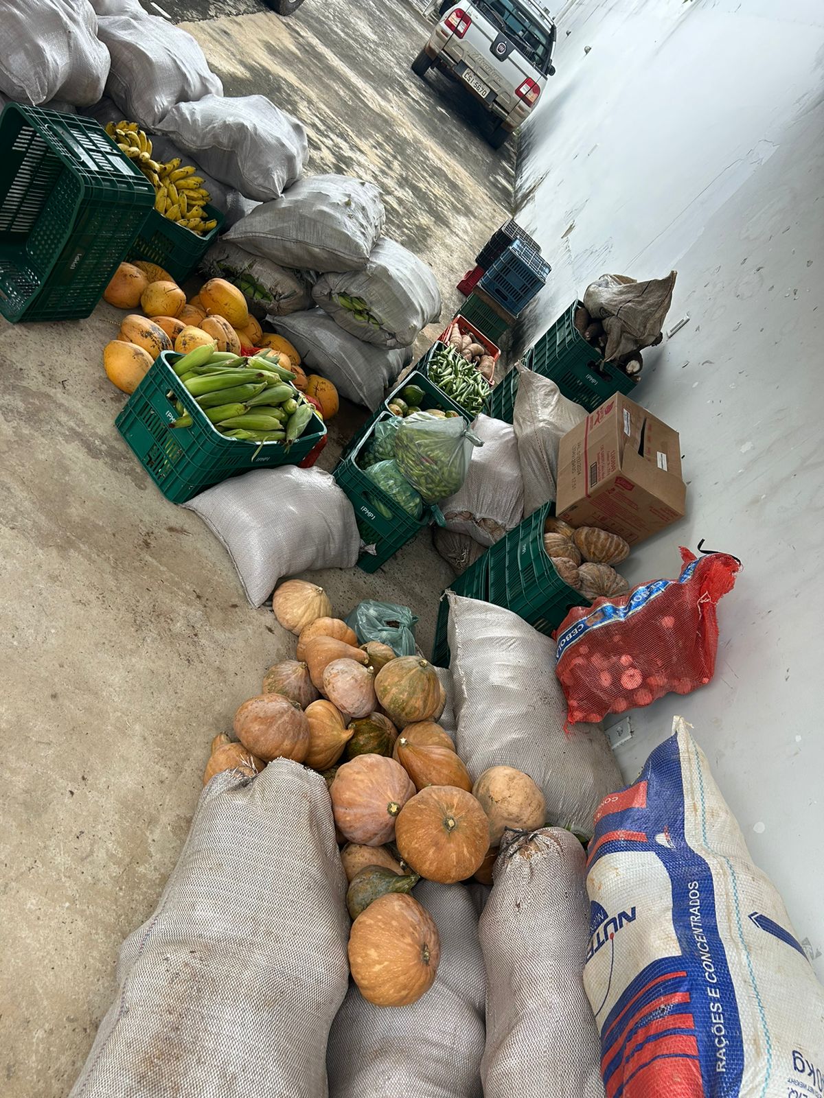 A Prefeitura de Paraibano, por meio do Programa de Aquisição de Alimentos (PAA), recebeu e distribuiu 1.370 kg de alimentos essenciais.