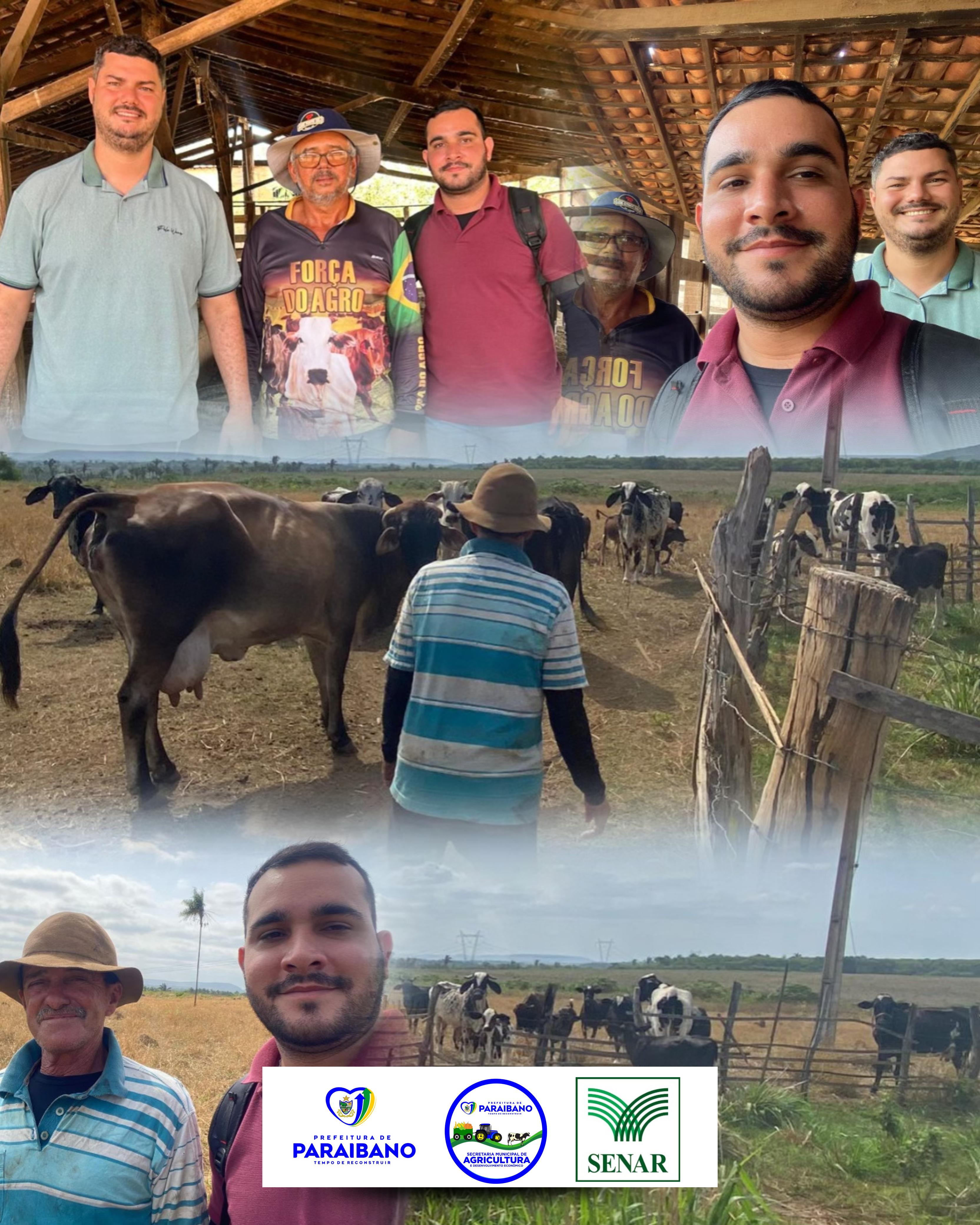 SENAR, em parceria com a Secretaria de Agricultura de Paraibano/MA, realizou o cadastramento e vis